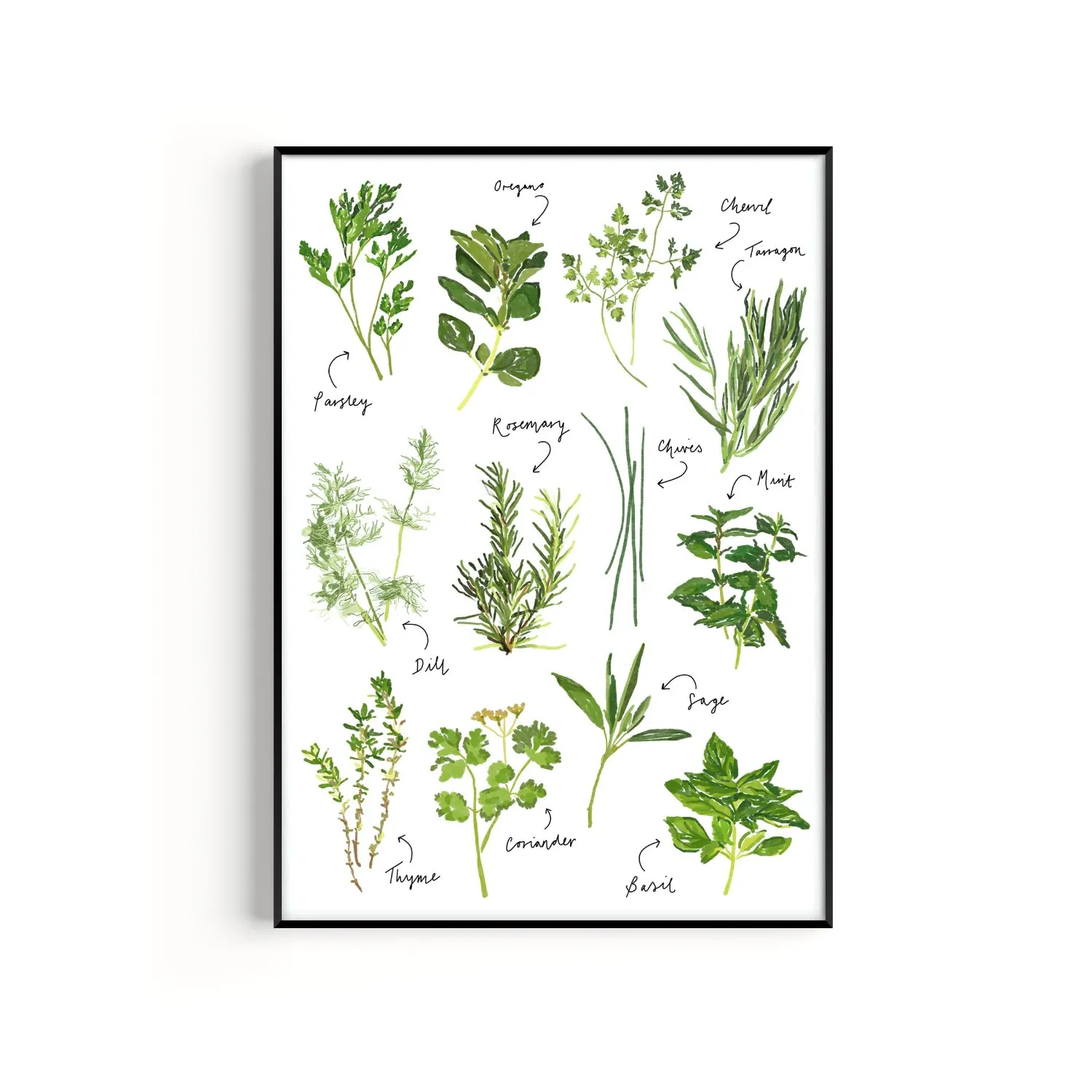 Herb A3 Hand Painted Art Print - Green image