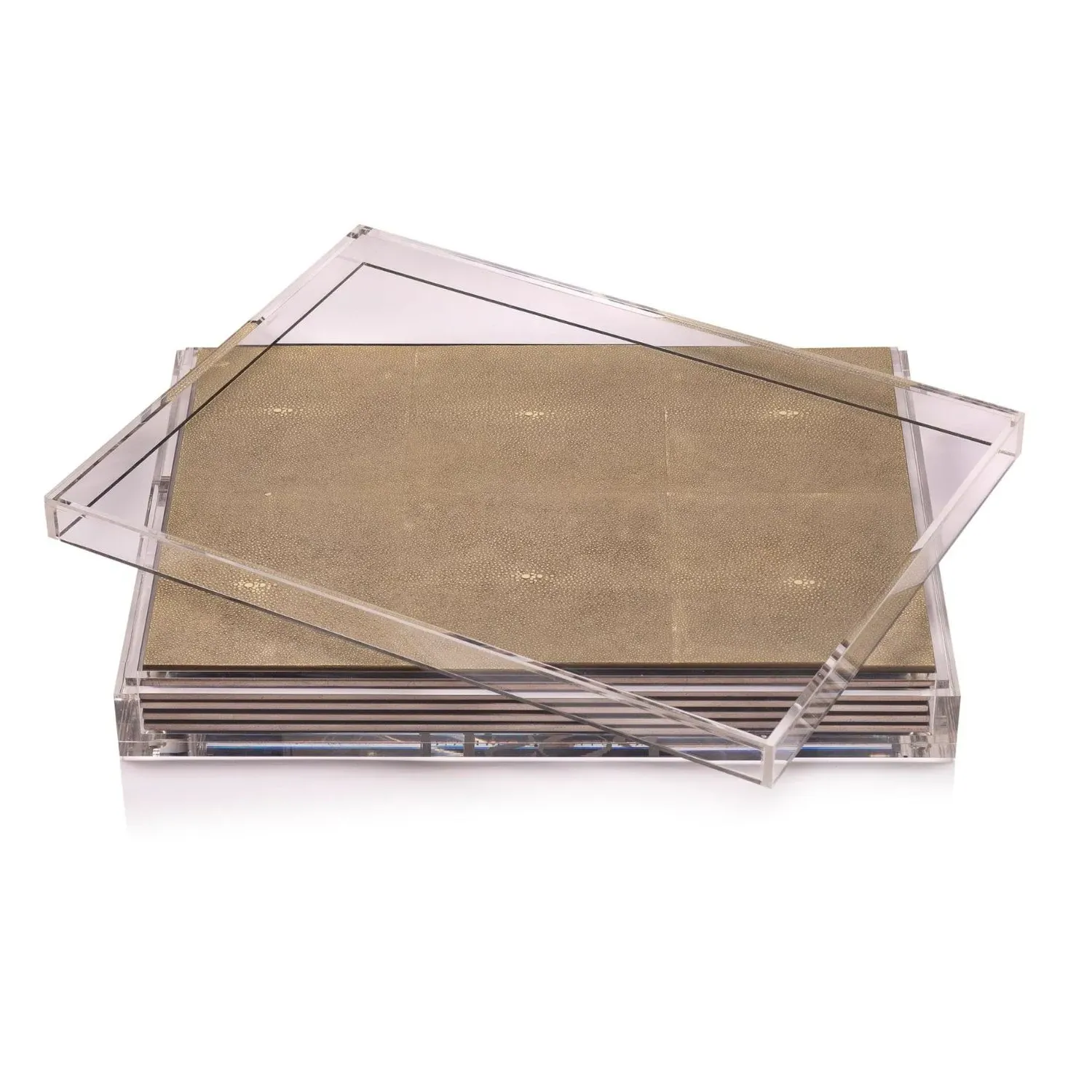 Neutrals Servebox Clear Placemat Set - Natural, Acrylic image