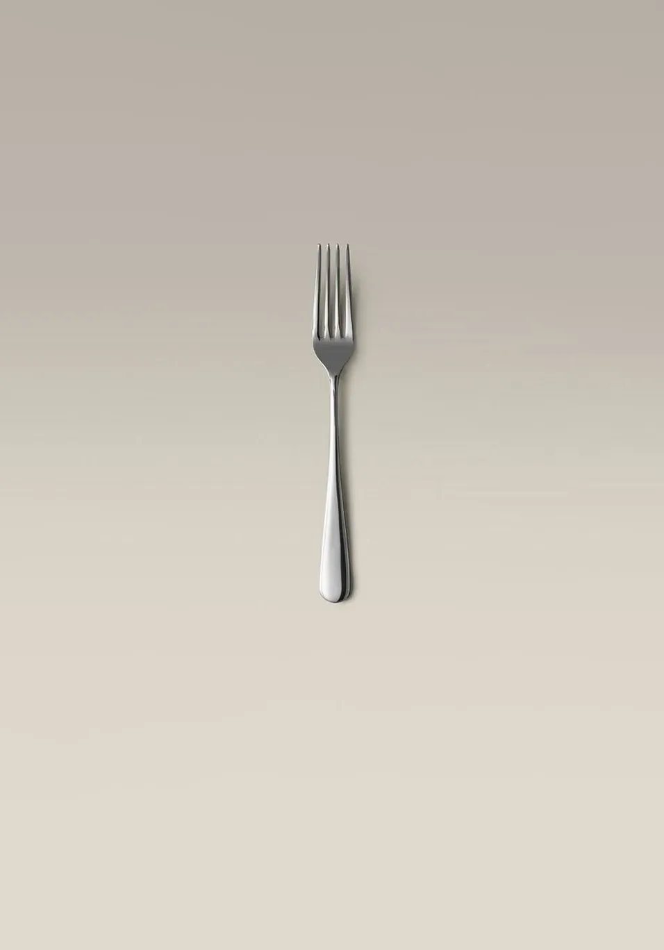 Big Fork