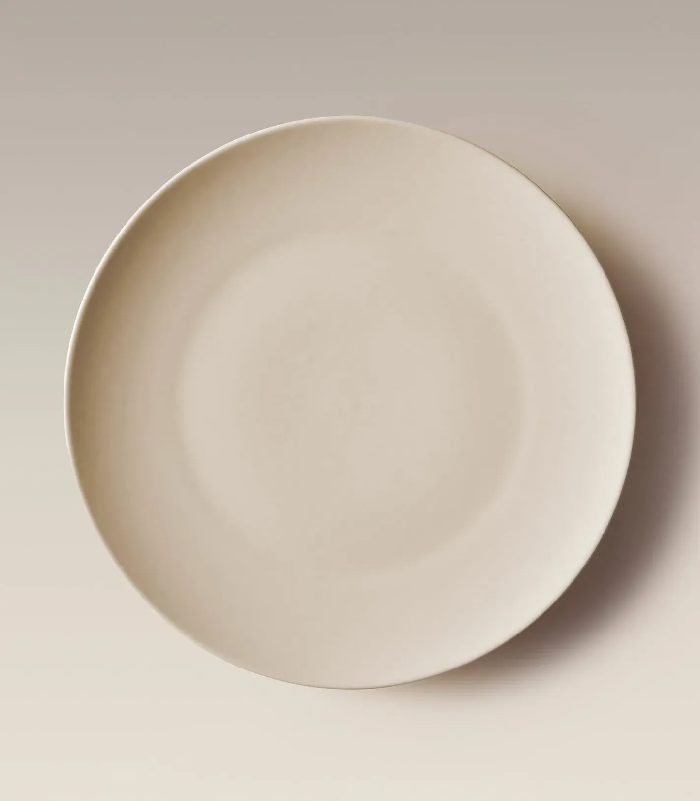 Big Dinner Plates