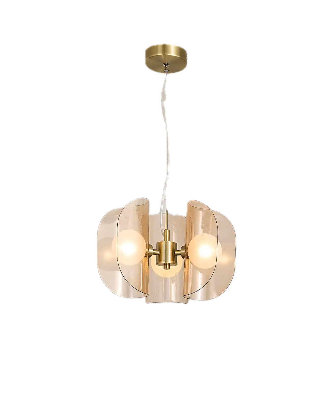 Curve Pendant Light