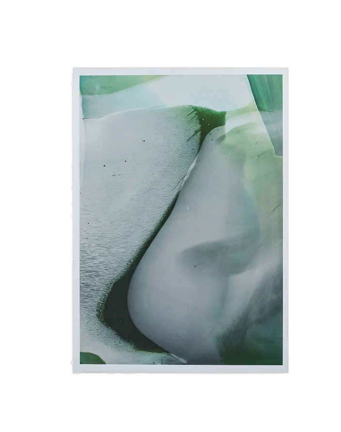 Heal's Milktooth Print