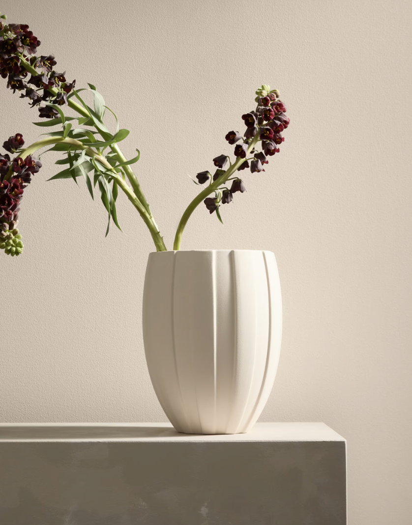 Screenshot 2026 02 18 at 12