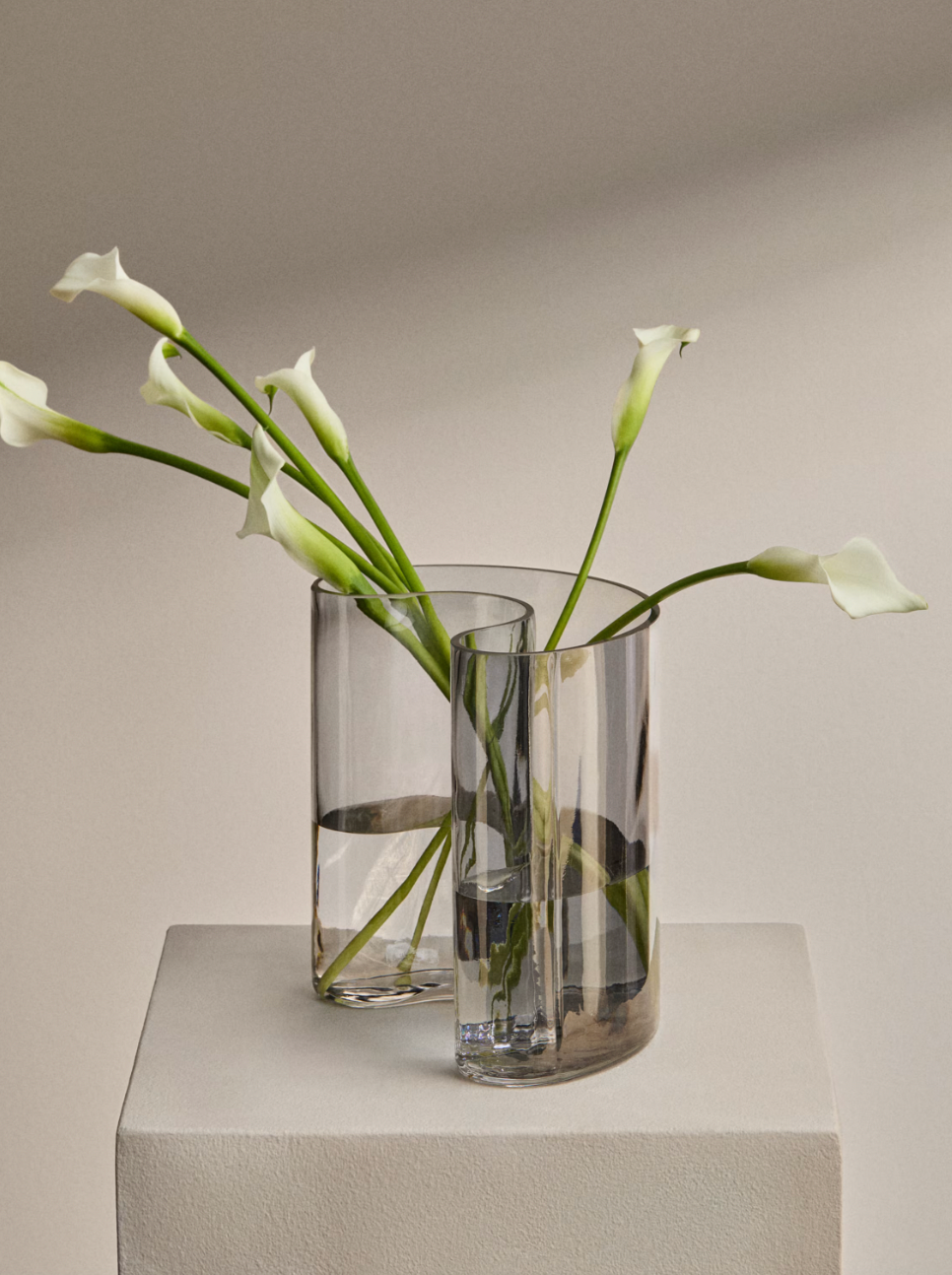 Screenshot 2026 02 18 at 15