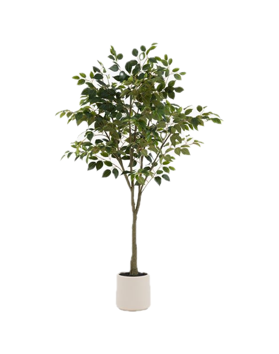 Faux Ficus Perch&Parrow