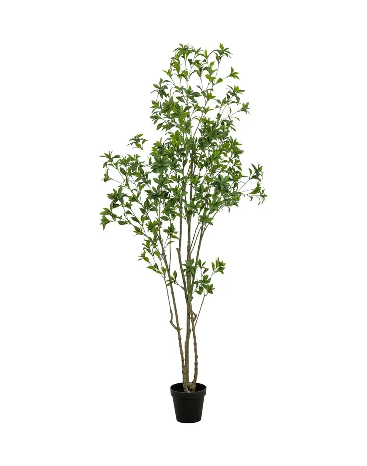 Bernice Updated Traditional Green Faux Pieres Potted