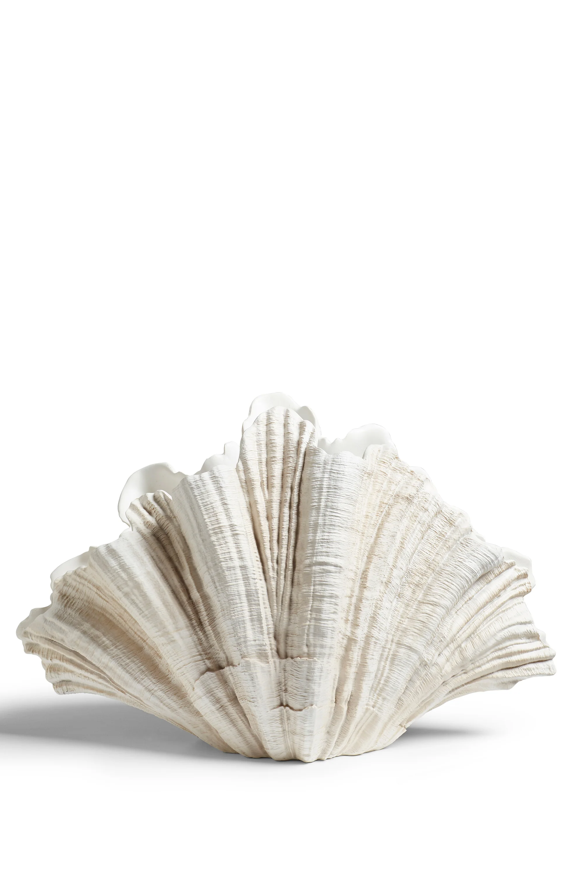 Oka venusia clam shell off white a22421 1 30 1275 14 01