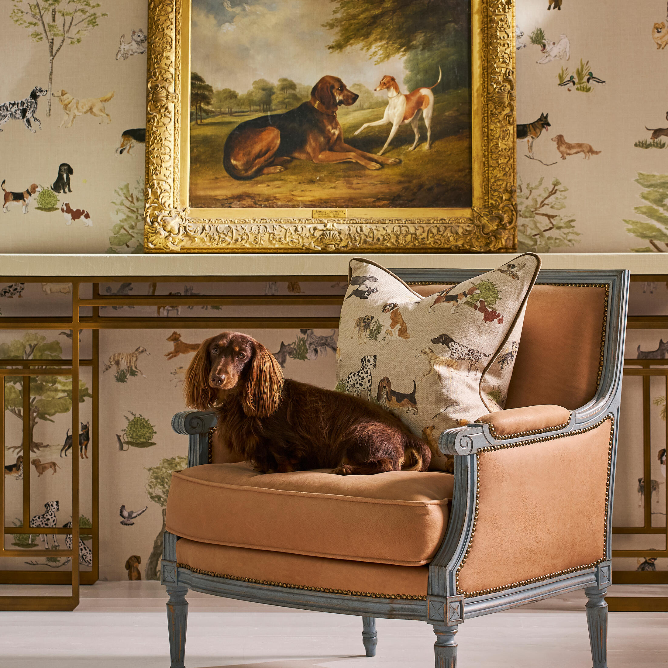 `Cushions category