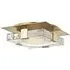 Ceiling Light with Glass Shade - Aged Brass