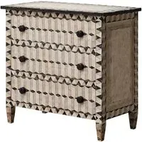 Donato Hand-Painted Chest - Multicolor, Reclaimed Wood