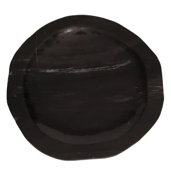 Large Decorative Tray - Dark, Petrified Wood