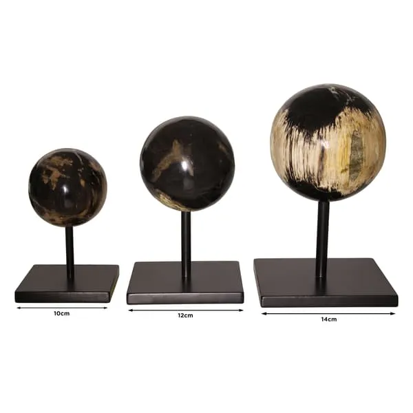 Medium Decorative Sphere - Natural, Petrified Wood