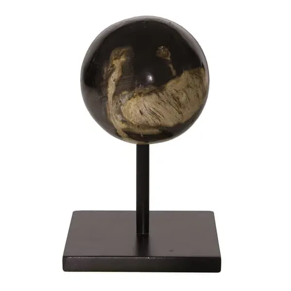 Medium Decorative Sphere - Natural, Petrified Wood