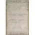Medium Persian Style Rug - Sandy, Low Pile