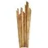 Medium Wall Light - Gild, Iron