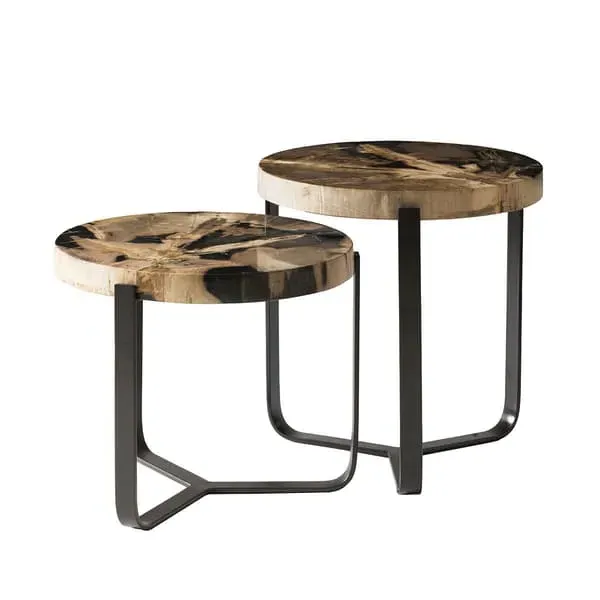 Nesting Side Tables Set - Natural, Petrified Wood image