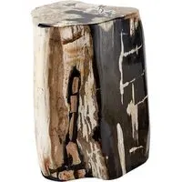 Petrified Log Side Table - Natural, Wood