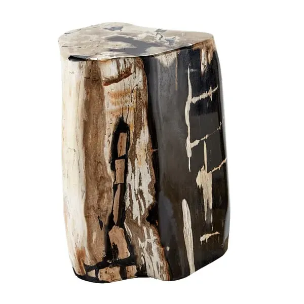 Petrified Log Side Table - Natural, Wood image