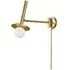 Pivot Wall Light with Globe - Brass, Steel