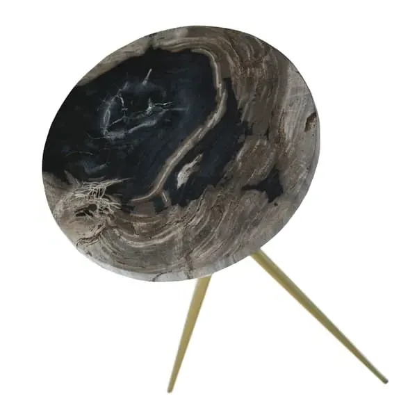 Round Side Table - Natural, Petrified Wood