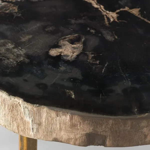 Side Table with Brass Legs - Dark, Petrified Wood