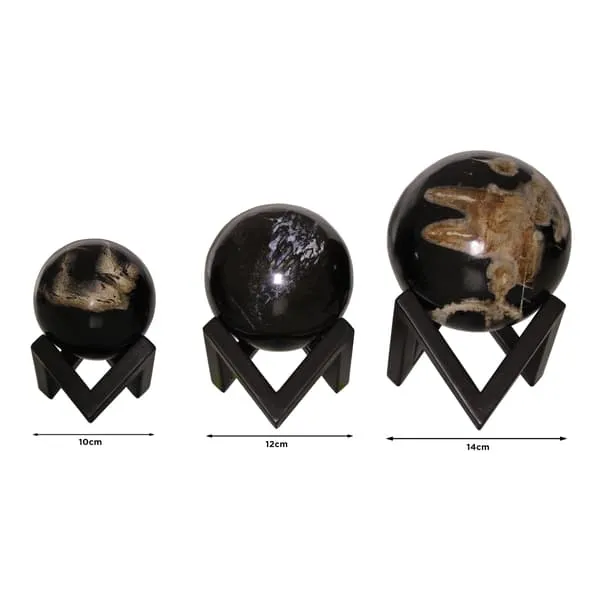 Small Decorative Sphere - Natural, Petrified Wood
