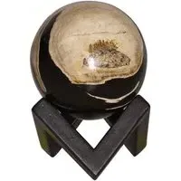 Small Decorative Sphere - Natural, Petrified Wood
