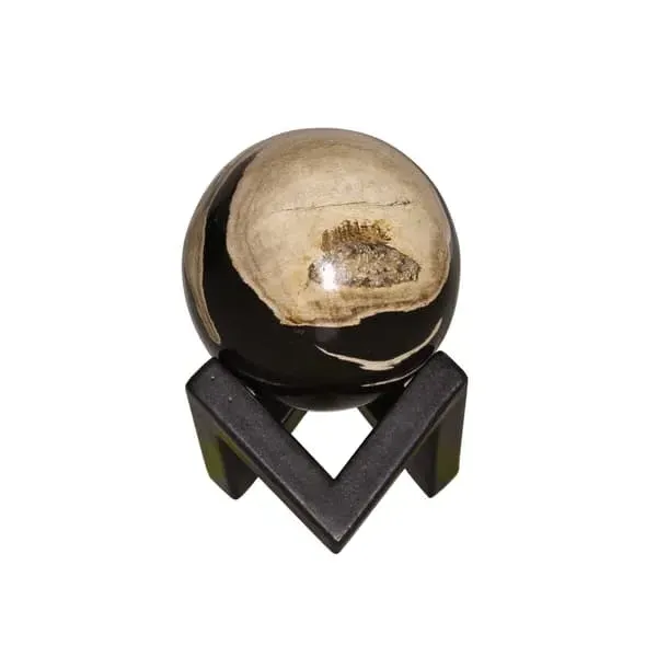 Small Decorative Sphere - Natural, Petrified Wood image
