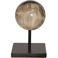 Small Decorative Sphere - Natural, Petrified Wood