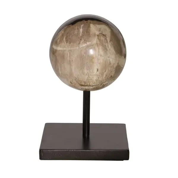 Small Decorative Sphere - Natural, Petrified Wood