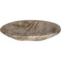 Small Decorative Tray - Natural, Petrified Wood