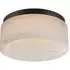 Small Flush Mount Ceiling Light - Bronze, Metal