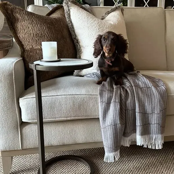 Square Cushion with Gold Trim - Ivory, Bouclé