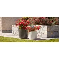 Set of 2 Oval Planters - Natural, Fibreclay