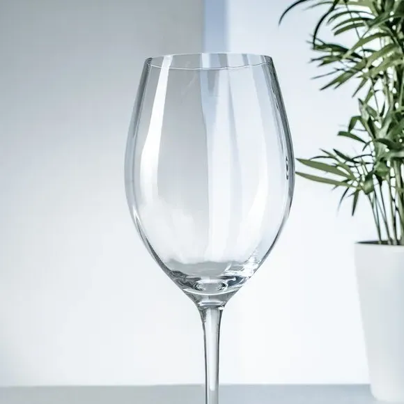 4-Pack Red Wine Glasses with Fluted Texture - Clear