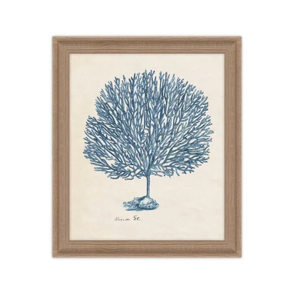 3 Framed Print Set Coral Design - Blue, Birch