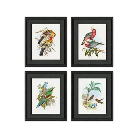 4-Piece Bird Art Print Set - Multicolor, Framed