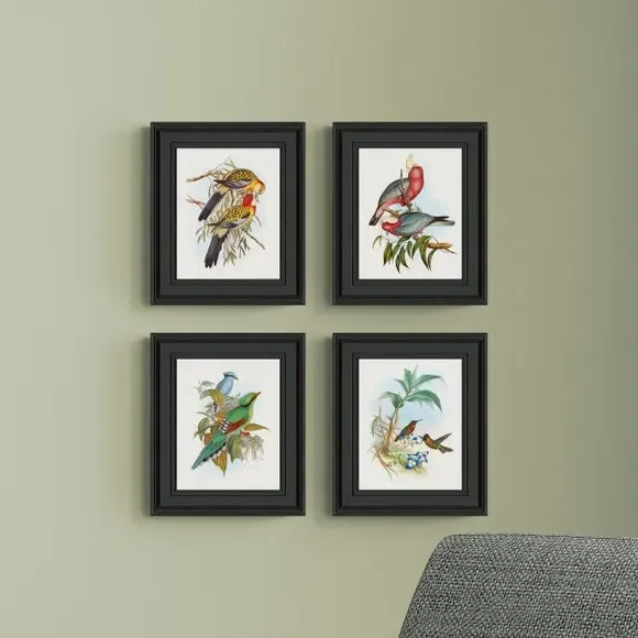 4-Piece Bird Art Print Set - Multicolor, Framed