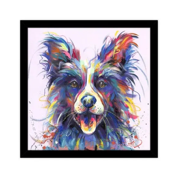 Border Collie Framed Print - Multicolor