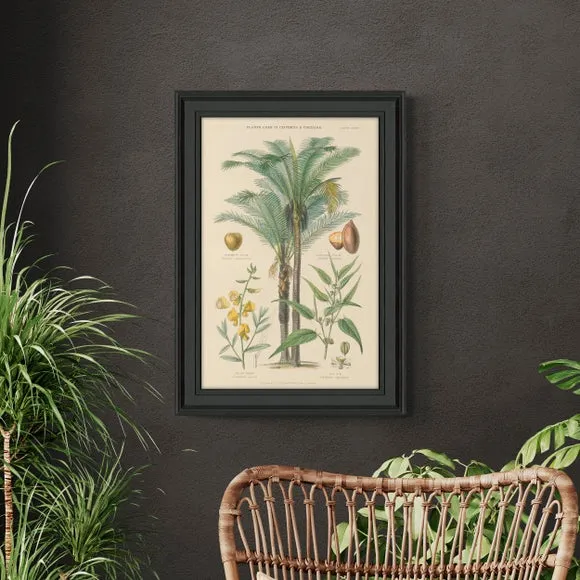 Botanical Framed Print - Green, Vintage Style