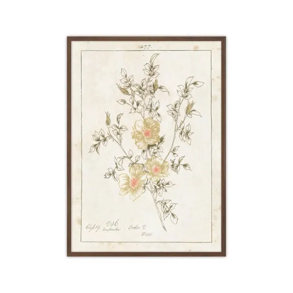 Framed Botanical Print - Green, Textured Finish