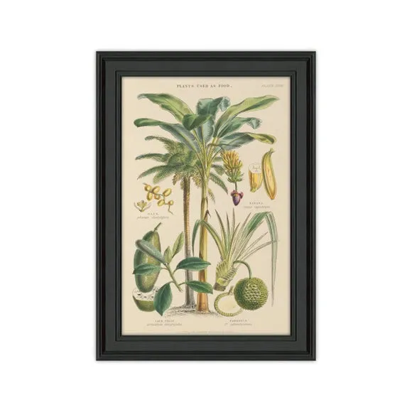 Framed Botanical Print - Green, Textured Finish