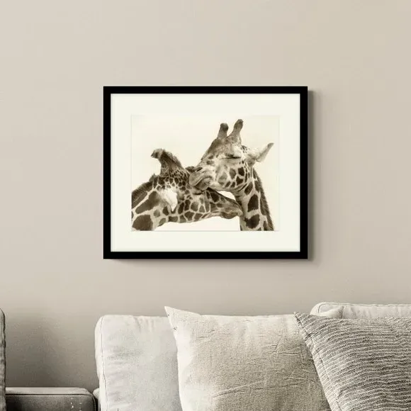 Framed Print Giraffes - Black, Glass image