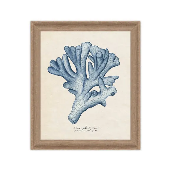 Framed Print Sea Coral Design - Blue, Birch