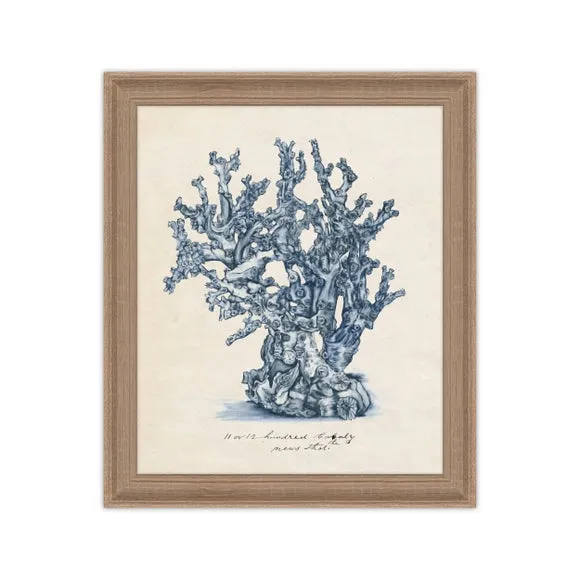 Framed Print Sea Coral Design - Blue, Birch