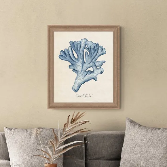 Framed Print Sea Coral Design - Blue, Birch image
