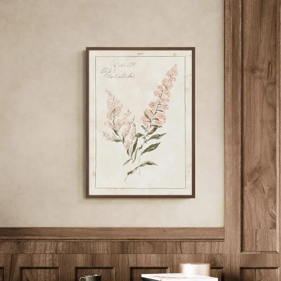 Framed Print Vintage Floral - Green, Walnut Frame image