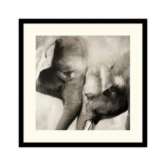Framed Print with Elephants - Black, Wood Frame