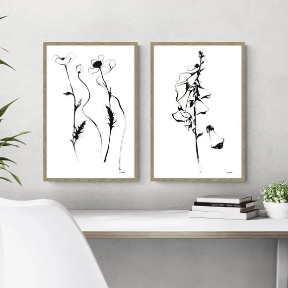 Set of 2 Framed Prints Botanical - Black, Birch image
