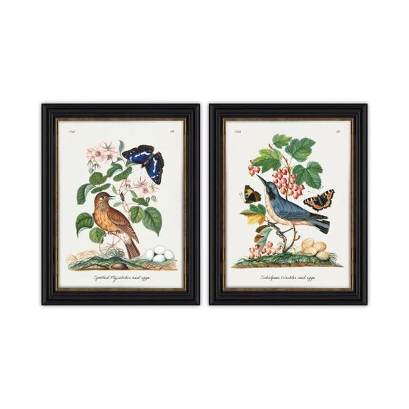 Set of 2 Vintage Bird Framed Prints - Multicolor
